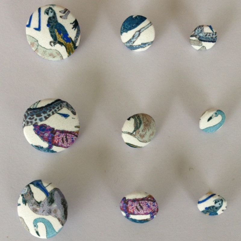 Queue for the Zoo D Knapp 